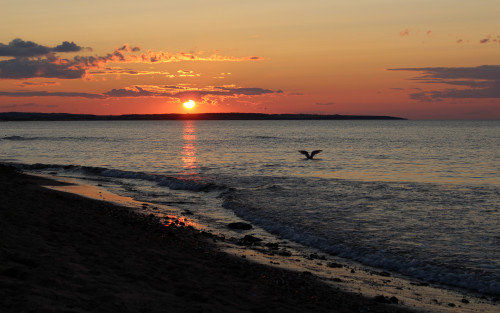 Canon Canon EOS REBEL T4i, PEI, Ile-Du-Prince-Édouard, Prince-Edward-Island, Canada, IPE, île, Island, mer, sea, océan, ocean, sunset, coucher de soleil, goéland, mouette, sea bird, gull