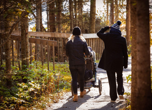 promenade, rando, randonnée, walk, forêt, forest, nature, automne, autumn, poussette, femmes, women, feuilles, arbres, leaf, leaves, tree, trees, walking, walk in nature