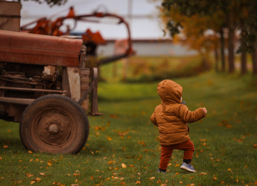 campagne, harvest, automne, autumn, tracteur, tractor, countryside, récolte, enfant, children, kid, kids, childhood, bébé, baby, bebe, marcher, walking